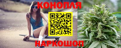 сатива Коммунар