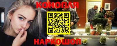 скорость Кингисепп