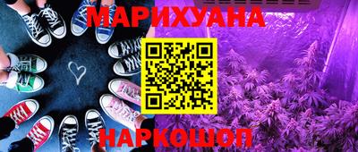 сатива Коммунар