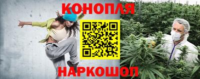 сатива Коммунар
