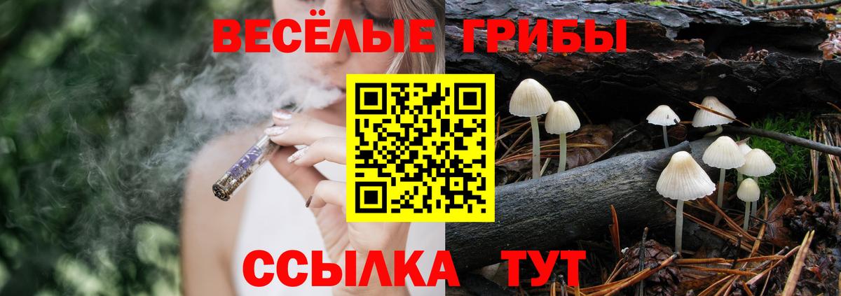 Псилоцибиновые грибы мухоморы Кисловодск