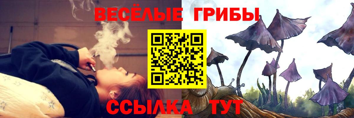 Псилоцибиновые грибы MAGIC MUSHROOMS  Вход с VPN  Кисловодск 
